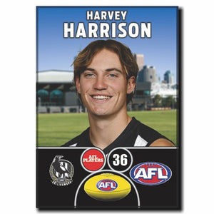 2024 AFL Collingwood Football Club - HARRISON, Harvey