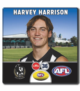 2024 AFL Collingwood Football Club - HARRISON, Harvey