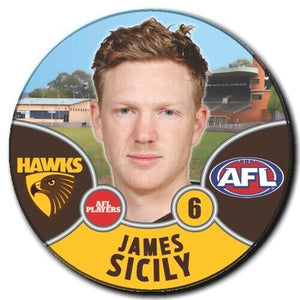 2021 AFL Hawthorn Player Badge - SICILY, James