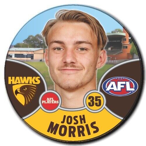 2021 AFL Hawthorn Player Badge - MORRIS, Josh