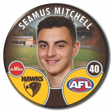 2022 AFL Hawthorn - MITCHELL, Seamus