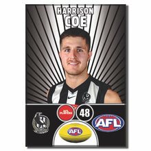 2026 AFL Collingwood Football Club - COE, Harrison