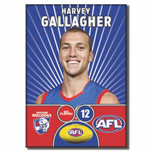 AFL 2026 WESTERN BULLDOGS Football Club - GALLAGHER, Harvey