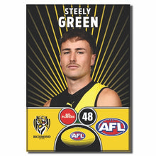 AFL 2026 RICHMOND Football Club - GREEN, Steely