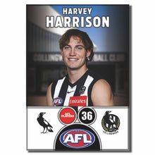 2025 AFL Collingwood Football Club - HARRISON, Harvey