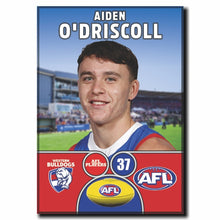 2024 AFL Western Bulldogs Football Club - O'DRISCOLL, Aiden