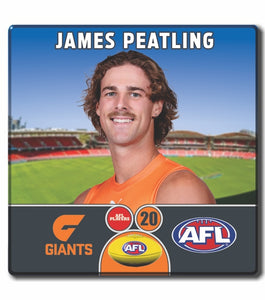 2024 AFL GWS Giants Football Club - PEATLING, James