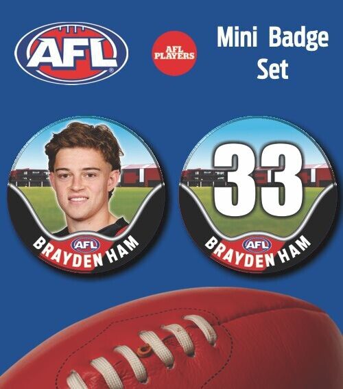 2021 AFL Essendon Mini Player Badge Set - HAM, Brayden