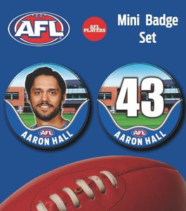 2021 AFL North Melbourne Mini Player Badge Set - HALL, Aaron