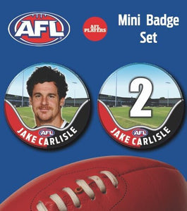 2021 AFL St Kilda Mini Player Badge Set - CARLISLE, Jake