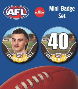 2021 AFL Hawthorn Mini Player Badge Set - MITCHELL, Seamus
