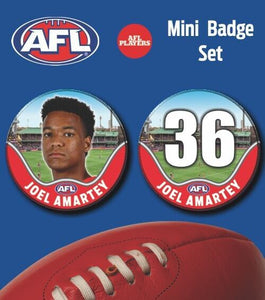 2021 AFL Sydney Swans Mini Player Badge Set - AMARTEY, Joel
