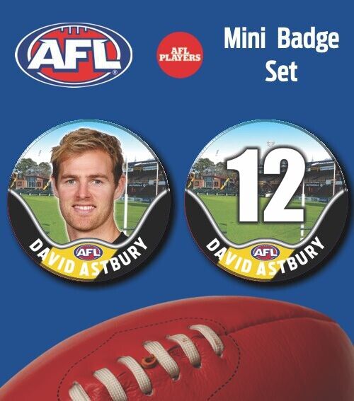 2021 AFL Richmond Mini Player Badge Set - ASTBURY, David
